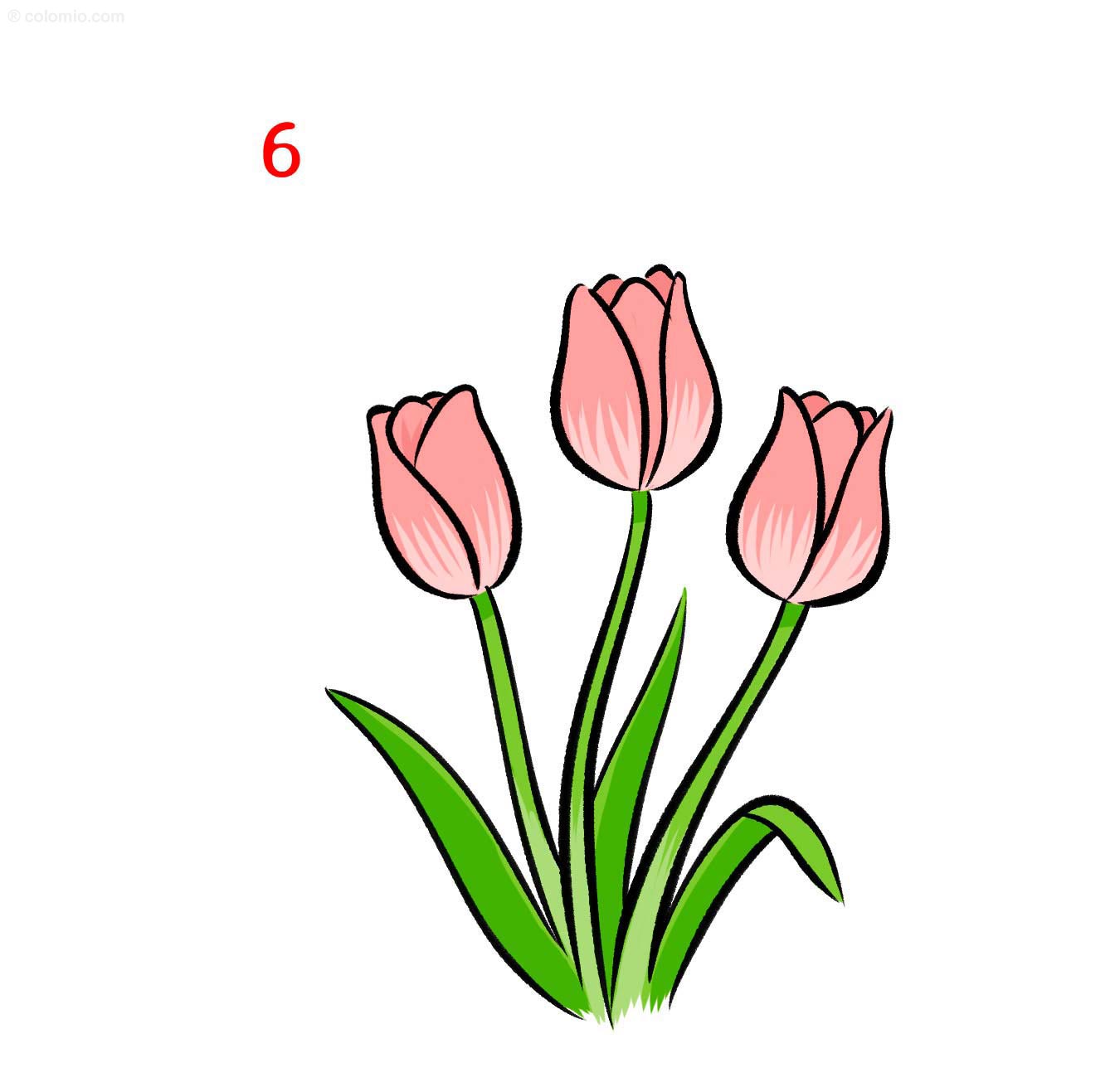 How To Draw A Tulip In 6 Easy Steps Spring Flower Tutorial PDF 