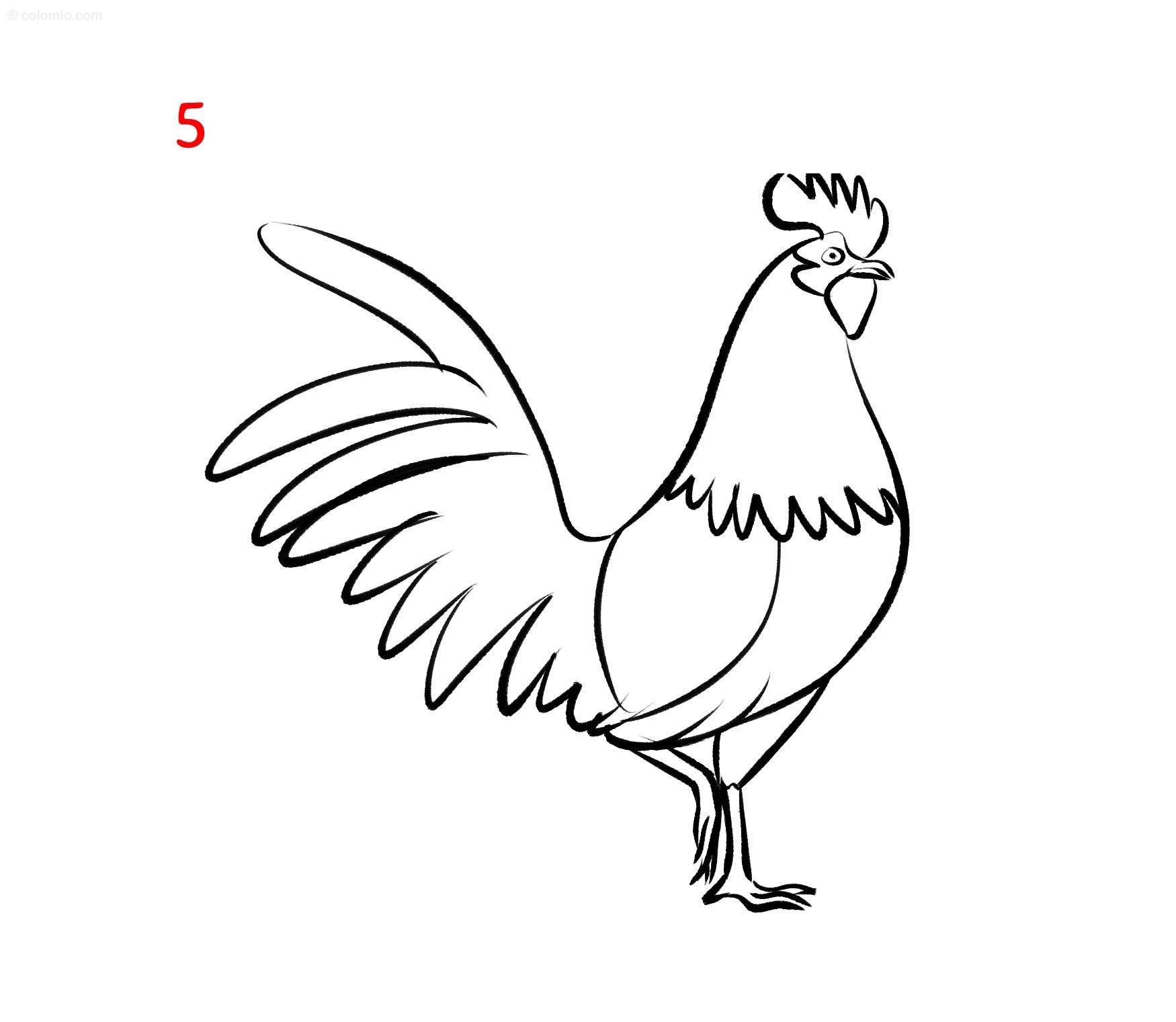 Draw A Rooster