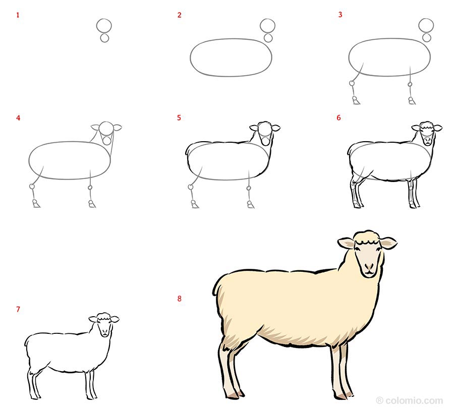 Sheep Farm Animals Easy Drawing How To Draw A Sheep Farm Animals
