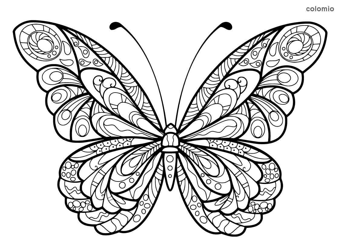 Ausmalbilder Schmetterling Zum Ausdrucken Ausmalbilder Schmetterling Zum Ausdrucken