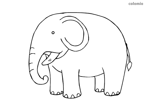 Dibujo de Elefante para colorear