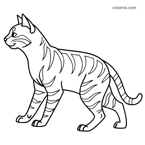Dessin au trait simple d’un chat du Bengale debout, vu de profil, avec des rayures marquées et un contour net.