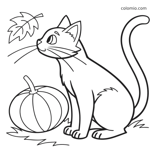En enkel halloweenkatt sitter ved siden av et gresskar og et blad, tegnet med tydelige konturer for enkel fargelegging.