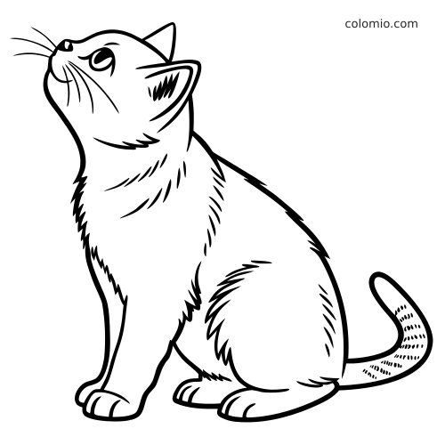 En detaljert strektegning av en britisk korthårkatt som sitter og ser oppover, med pelsdetaljer og markeringer på halen.