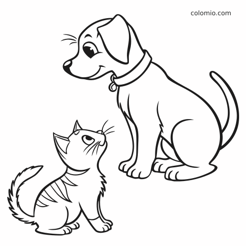 En hund og en katt i tegneseriestil sitter ved siden av hverandre og ser oppover, tegnet med tydelige konturer.