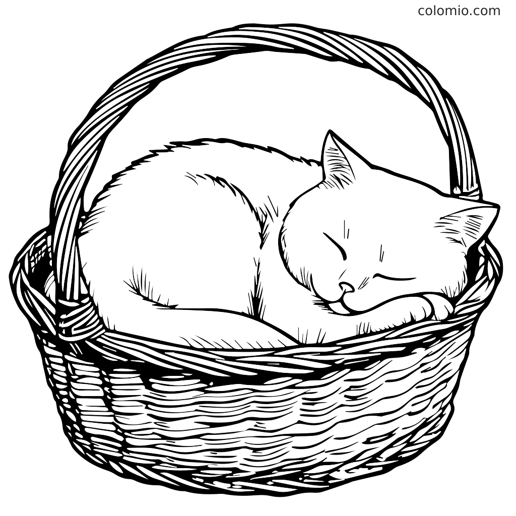 En linjetegning av en søt katt som ligger sammenkrøllet og sover i en flettet kurv, perfekt for fargelegging.