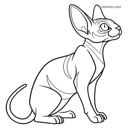 En enkel strektegning av en sittende hårløs sphynx-katt sett fra siden, med store ører, glatte kroppslinjer og krøllet hale.