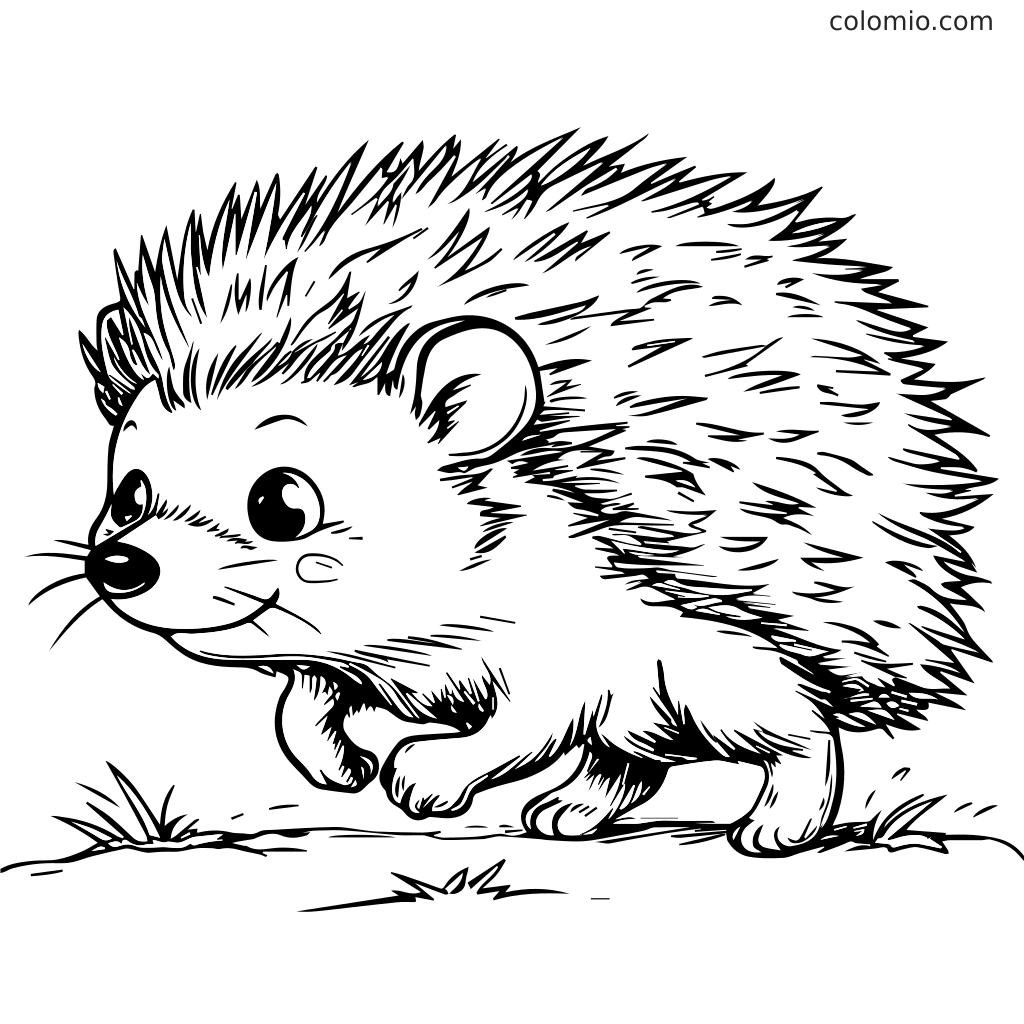 Un riccio carino con pelo spinoso che corre sull'erba, pronto per essere colorato dai bambini.