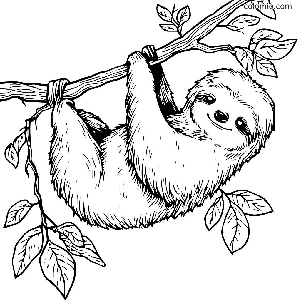 A playful sloth hanging upside down from a tree branch surrounded by leaves, ready for coloring.
