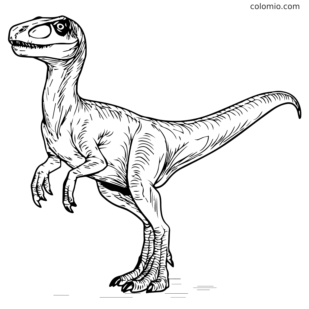 Een gedetailleerde lijntekening van een Velociraptor die op twee benen staat, perfect om in te kleuren.
