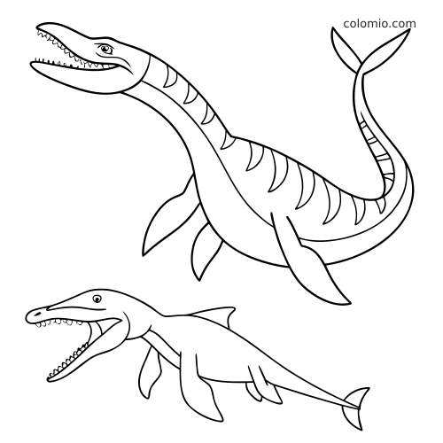 Illustrazione in bianco e nero di un mosasauro e un plesiosauro che nuotano, con contorni semplici e pochi dettagli.