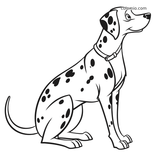 Desenho em preto e branco de um cão dálmata adulto sentado de perfil, com manchas marcantes, coleira e cauda curvada.