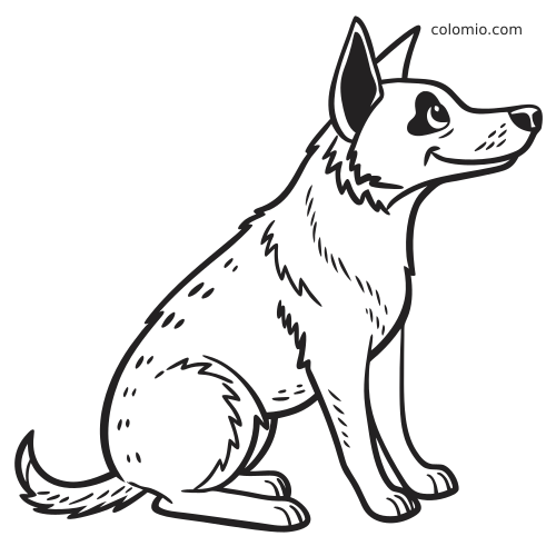 Um cão boiadeiro-australiano sentado, em estilo de retrato simples, com orelhas eretas, manchas no pelo e contornos pretos grossos.