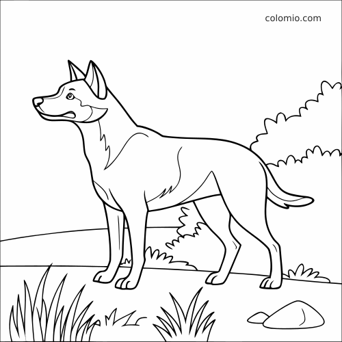 Um cão boiadeiro australiano em pé em uma cena ao ar livre simples, com arbustos, grama e pedras em contornos pretos.