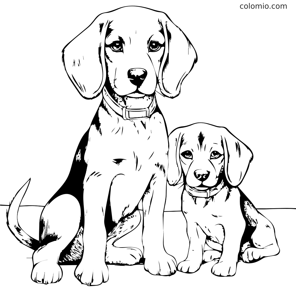 Svartvit kontur av en beagle hund och valp, perfekt för att färglägga.