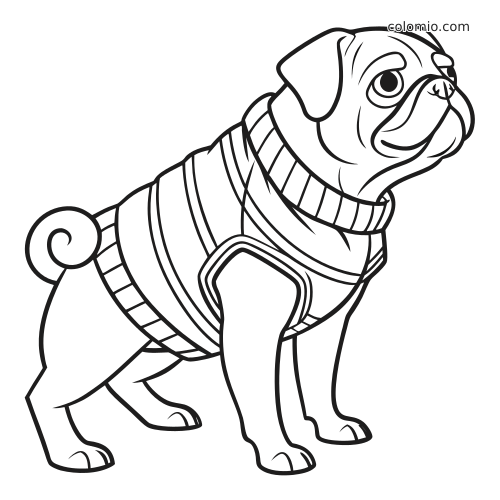 Um pug visto de perfil, em pé e usando um suéter listrado, desenhado com contorno simples e cauda enrolada.