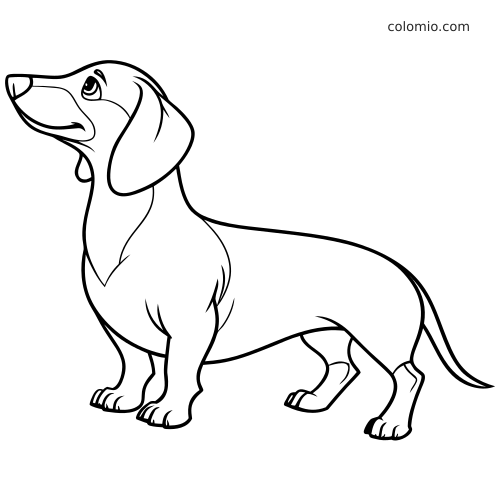 Contorno em preto e branco de um cachorro salsicha em pé, visto de lado, com orelhas longas e corpo comprido.