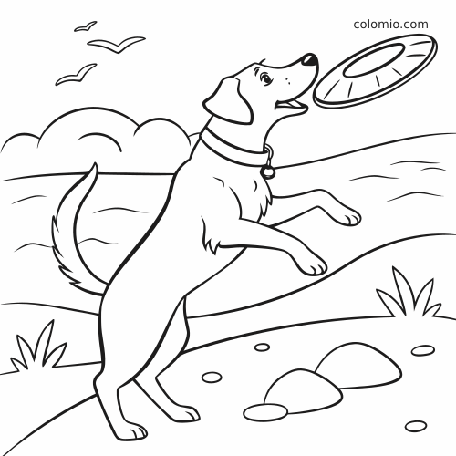 Desenho em linhas de um cachorro na praia pulando em direção a um frisbee, com ondas, pássaros, pedras e grama.