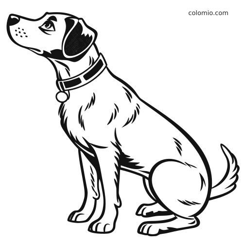 Desenho em preto e branco de um cachorro sentado de perfil, usando coleira e olhando para cima.