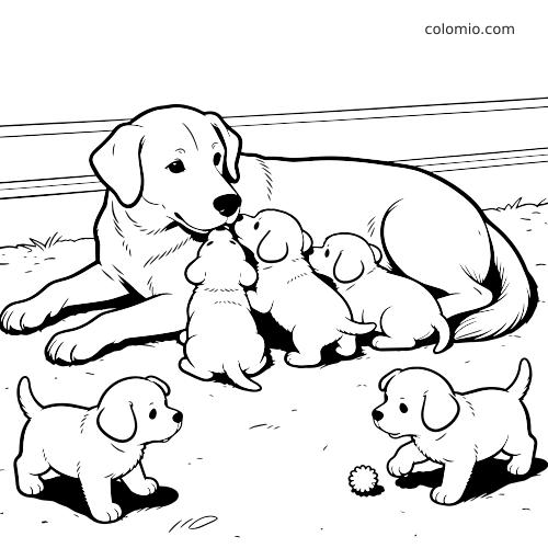 Uma cadela golden retriever está deitada enquanto cinco filhotes pequenos se reúnem ao redor dela em um desenho em preto e branco.