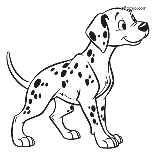 Leikkisä dalmatialaispentu seisoo hymyillen mustavalkoisessa ääriviivapiirroksessa, jossa näkyvät rodulle tyypilliset täplät.