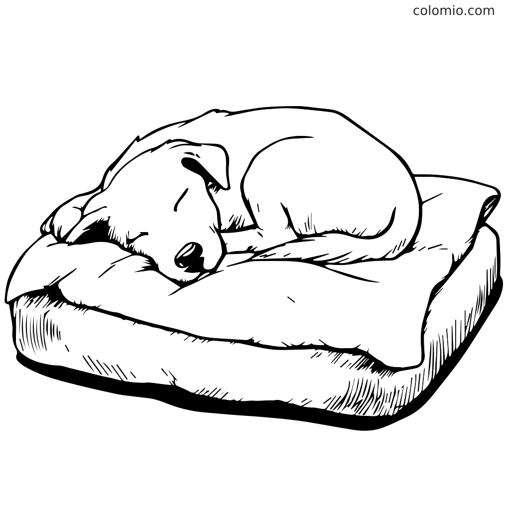 A cute puppy sleeping curled up on a soft dog bed, perfect for coloring.