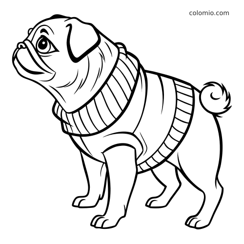 Um pug usando um suéter canelado, olhando para cima, em contorno preto com cauda enrolada e rosto enrugado.