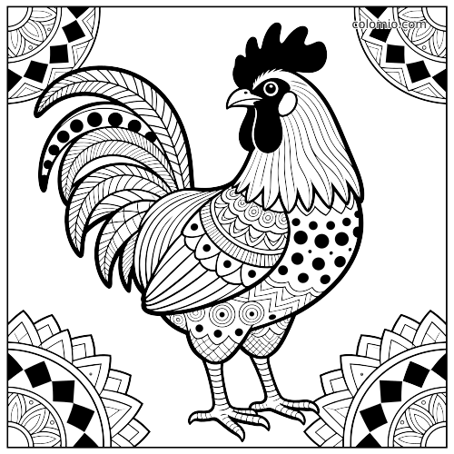 En svartvit zentangle-tupp med mönstrade fjädrar och dekorativa mandalamönster i hörnen.