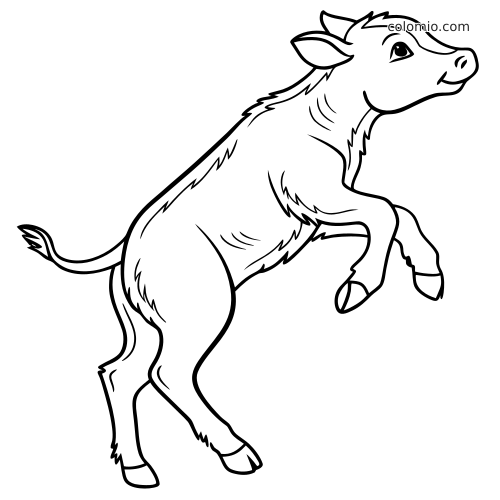 En hoppende kalv set fra siden med pjaltet pels, løftede forben og et legende udtryk i rene sorte konturer.