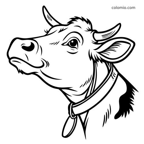 Sort-hvidt portræt af en ko set fra siden med horn, et stort øje og et halsbånd om halsen.