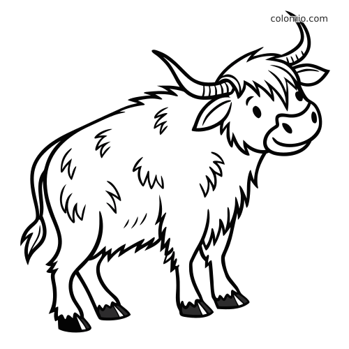 Et sort-hvidt højlandskvæg med smilende ansigt, buede horn, lang pjusket pels og en venlig tegneseriestil.