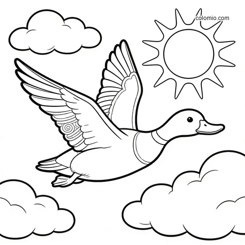En enkel konturteckning av en flygande anka bland mjuka moln med solen ovanför i tydlig tecknad stil. En enkel konturteckning av en flygande anka bland mjuka moln med solen ovanför i tydlig tecknad stil.