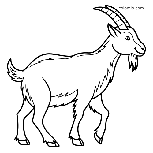 En detaljerad bock i sidovy med långa böjda horn, skägg och raggig päls, tecknad med tydliga svarta linjer.