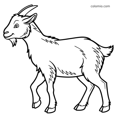 En kashmirget i sidovy med leende ansikte, kort skägg, horn och fluffig päls, tecknad med tydliga svarta konturer.