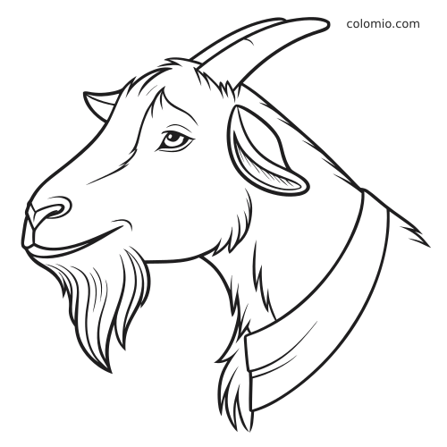 Svartvit profilbild av ett gethuvud med långt skägg, böjda horn och ett halsband i enkel linjeteckning.