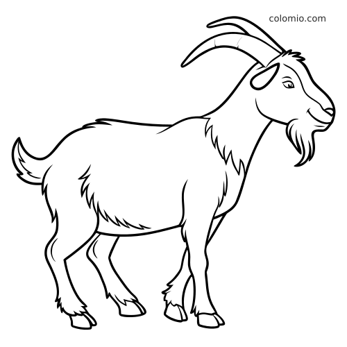 Svartvit konturteckning av en enkel get i sidovy med böjda horn och långt skägg i ren tecknad stil.
