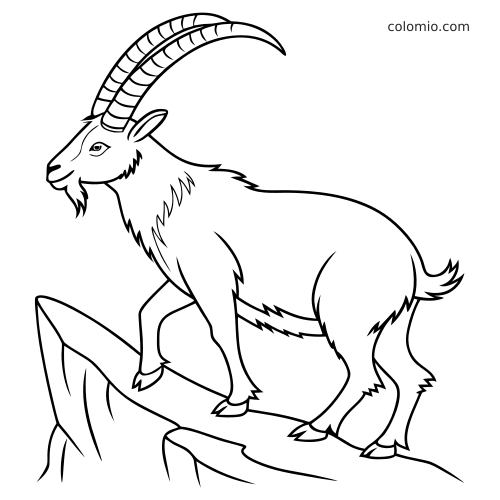 En stenbock med långa böjda horn står på en klipphylla, tecknad i rena svarta konturer utan färg.