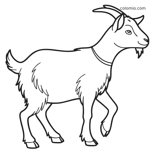 En enkel konturteckning av en dvärgget i sidovy med böjda horn, raggig päls och ett framben lyft.