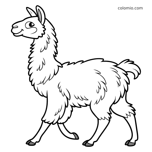 Un lama en noir et blanc vu de profil, en train de marcher, avec un pelage laineux et un style cartoon amical.