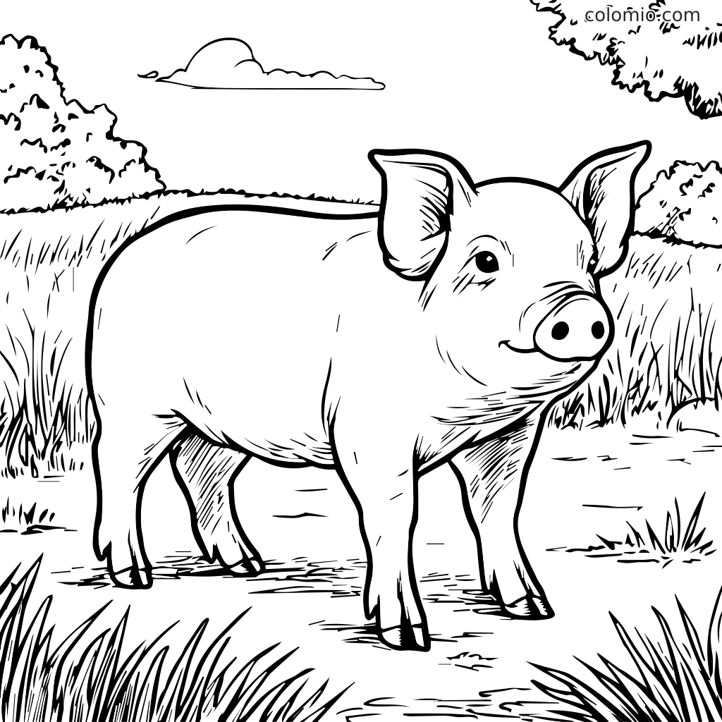 Un cochon mignon se tient dans un champ herbeux avec des arbres et des nuages en arrière-plan, prêt à être colorié.