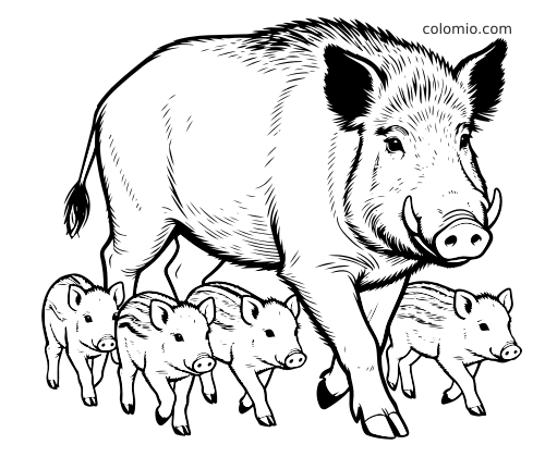 Un sanglier détaillé en noir et blanc, avec de longues défenses, avance entouré de quatre marcassins.