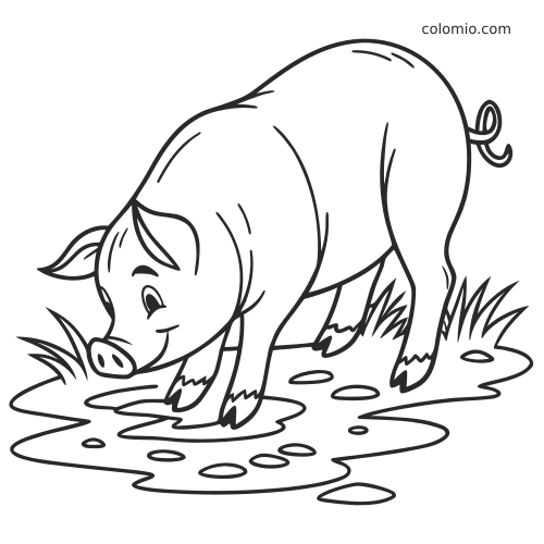 Un cochon en dessin simple se tient dans une flaque de boue avec des touffes d’herbe, vu de profil la tête baissée.