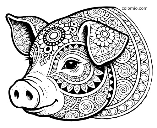Portrait en gros plan d’une tête de cochon en noir et blanc, remplie de motifs zentangle détaillés, spirales, fleurs et contours épais.
