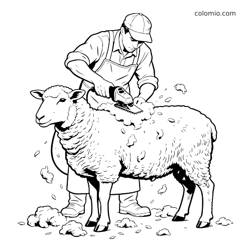 Scène détaillée en noir et blanc montrant un tondeur utilisant une tondeuse électrique sur un mouton laineux, avec de la laine qui tombe autour.