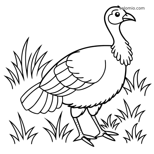 Une dinde au style cartoon se tient parmi des touffes d’herbe, avec des formes arrondies et des plumes aux contours épais.