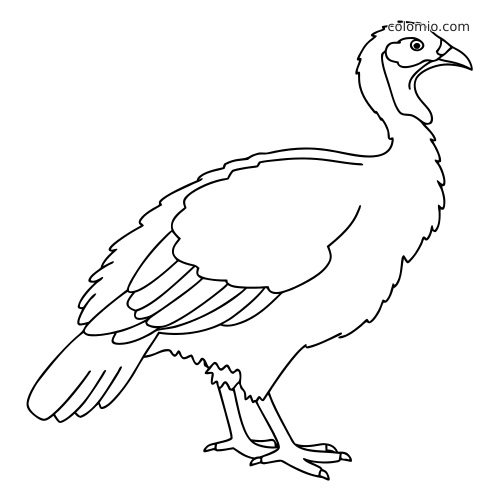 Contour simple d’une dinde debout, vue de profil, avec des lignes nettes et sans détails d’arrière-plan.