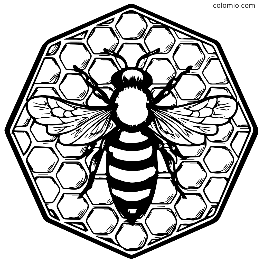 Yksityiskohtainen värityssivu, jossa on mehiläinen hunajakennoon, täydellinen lasten aktiviteetteihin.