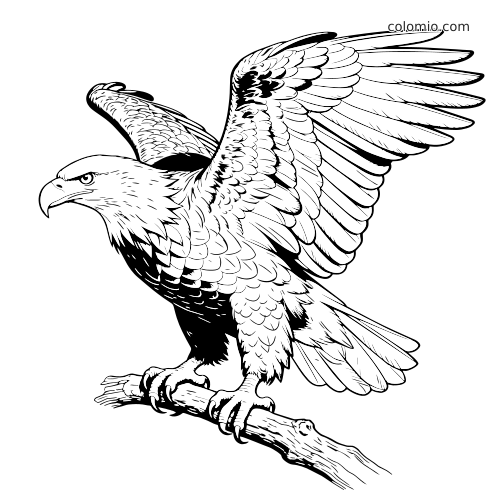 Een gedetailleerde zeearend staat op een tak met wijd gespreide vleugels, met gelaagde veren en een krachtige houding.