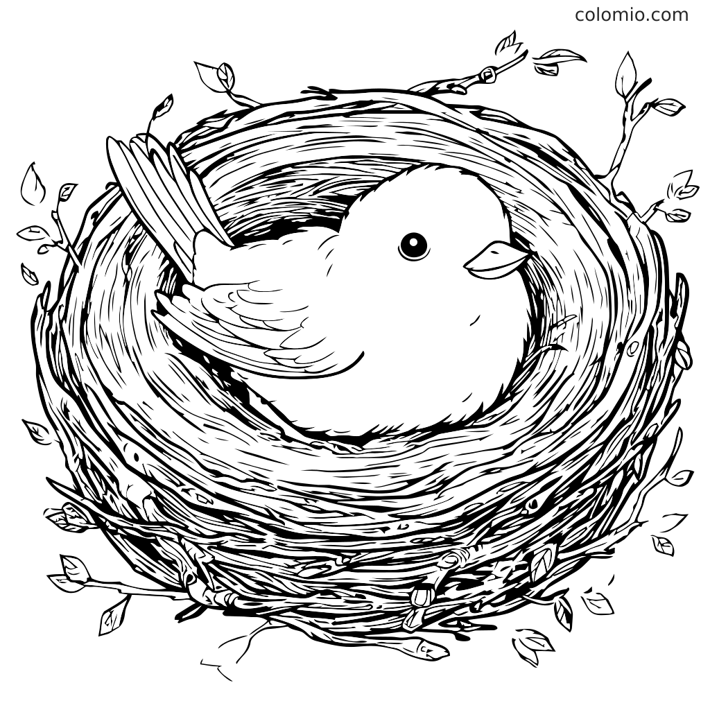 Kolorowanka przedstawiająca uroczego ptaka siedzącego w gnieździe otoczonym gałązkami i liśćmi.
