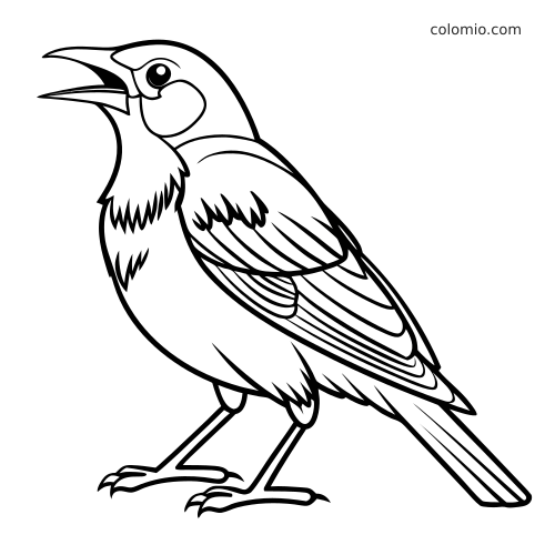 Zwart-witte lijntekening van een roodborst van dichtbij, staand met open snavel alsof hij zingt.